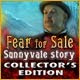 http://adnanboy.com/2011/12/fear-for-sale-2-sunnyvale-story.html